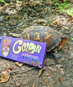 Golden ticket mushroom bar